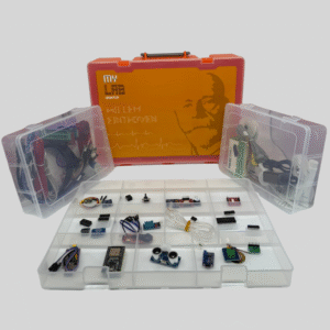 LABORATÓRIO PRÁTICO DE INSTRUMENTAÇÃO BIOMÉDICA E SENSORES – MY LAB WILLEM EINTHOVEN